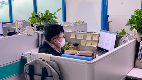 疫情期间，Z6尊龙软件成功研发7套防疫助力软件